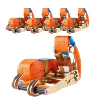 5x Profi Ratschen Spanngurt Spanngurte Zurrgurt 2-tlg 5m...