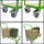 Plattformwagen 500 kg Traglast ca. 96 x 49 cm Ladefläche mit 2 Lenkrollen inkl. Bremse
