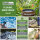 Gartenpumpe Edelstahl 800 W 3200 l/h Förderhöhe 44 m Jetpumpe Saugpumpe Pumpe zur Gartenbewässerung