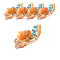 5x Profi Ratschen Spanngurt Spanngurte Zurrgurt 2-tlg 5m...