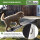 TRUTZHOLM Hunderampe klappbar 183 cm Tragkraft 180 kg Aluminiumrampe faltbar rutschfest mit Griff