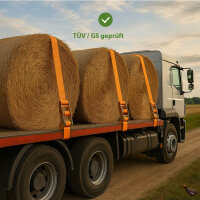 Spanngurt Ratschen Zurrgurt 8m 5000kg 5t 5to TÜV/GS ORANGE 2-tlg.