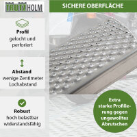 TRUTZHOLM Auffahrrampe Alu 250 cm 500 kg 26 cm breit Anti Rutsch gelocht Motorradrampe Verladerampe