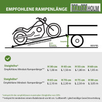 TRUTZHOLM 2x Auffahrrampen 200 x 28 cm 540 kg Alu gelocht starr Verladerampen Motorradrampen grau