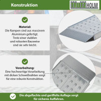 TRUTZHOLM 2x Auffahrrampen 200 x 28 cm 540 kg Alu gelocht starr Verladerampen Motorradrampen grau