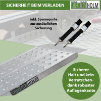 TRUTZHOLM 2x Auffahrrampen 200 x 28 cm 540 kg Alu gelocht starr Verladerampen Motorradrampen grau