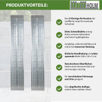 TRUTZHOLM 2x Auffahrrampen 200 x 28 cm 540 kg Alu gelocht starr Verladerampen Motorradrampen grau