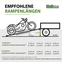TRUTZHOLM 2x Schwerlastrampe 3300 kg Länge 265 cm Alu Breite 35 cm Auffahrrampe für Baumaschinen PKW