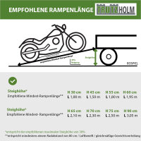 DREIBREIT by TRUTZHOLM Alu Auffahrrampe 175 cm 2-fach klappbar Tragkraft 1020 kg beschichtet Rampe