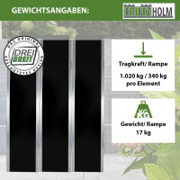 DREIBREIT by TRUTZHOLM Alu Auffahrrampe 175 cm 2-fach klappbar Tragkraft 1020 kg beschichtet Rampe