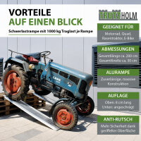 TRUTZHOLM 2x Schwerlastrampe 2000 kg Länge 200 cm Alu Auffahrrampe für PKW Quad Maschinen Motorrad