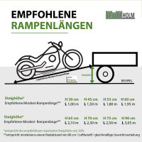 TRUTZHOLM 2x Schwerlastrampe 2000 kg Länge 200 cm Alu Auffahrrampe für PKW Quad Maschinen Motorrad