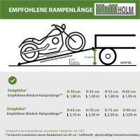 DREIBREIT by TRUTZHOLM Auffahrrampe 2-fach klappbar 175 cm 1650 kg Alu geriffelt Verladerampe massiv