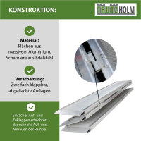 DREIBREIT by TRUTZHOLM Auffahrrampe 2-fach klappbar 175 cm 1650 kg Alu geriffelt Verladerampe massiv