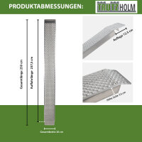 TRUTZHOLM 2x Auffahrrampe Alu 250 cm Traglast 1000 kg Lauffläche gelocht Motorradrampe Verladerampe