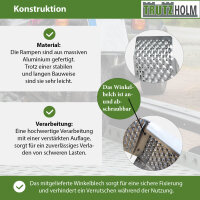 TRUTZHOLM 2x Auffahrrampe Alu 250 cm Traglast 1000 kg Lauffläche gelocht Motorradrampe Verladerampe
