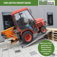 TRUTZHOLM 2x Auffahrrampe Alu 250 cm Traglast 1000 kg Lauffläche gelocht Motorradrampe Verladerampe