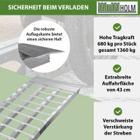 TRUTZHOLM 2 x Auffahrrampen 230 cm 1360 kg Traglast Alu klappbar grau Riffelstab Rampe Verladerampen