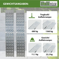 TRUTZHOLM 2x Auffahrrampe klappbar 226 cm Traglast 1360 kg Alu grau Motorradrampen Verladerampen