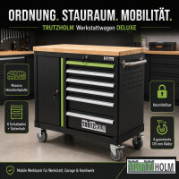 Werkstattwagen leer mit Holzplatte 6 Schubladen & Tür, abschließbarer Werkzeugwagen schwarz/grün