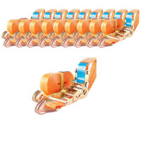 10x Profi Ratschen Spanngurt Spanngurte Zurrgurt 2tlg 5m...