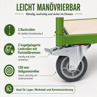 Etagenwagen höhenverstellbar Tragkraft 250 kg Stahlrahmen 2 Etagen Vollgummiräder Transportwagen