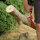 2x Handpackzange Packzange Handhebehaken Sappie Holzgreifer Forstzange