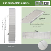 TRUTZHOLM Auffahrrampe extralang 307 cm klappbar Traglast 450 kg Alu geriffelte Motorradrampe