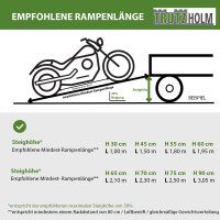 DREIBREIT by TRUTZHOLM Alu Auffahrrampe 215 cm 2-fach klappbar 1020 kg gelocht Verladerampe Rampe