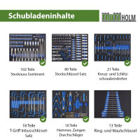 Werkstattwagen 249-tlg. bestückt 8 Schubladen Edelstahlauflage Seitentür Soft Close Schaumeinlagen