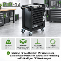 Werkstattwagen mit 249 tlg. Chrom-Vanadium Werkzeug 8 Schubladen 97 x 85 x 46cm  Seitentür Interlock