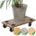 6er Set Transportroller SOFT WHEEL indoor MDF 200 kg Möbelroller