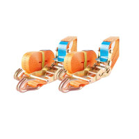 2x Profi Ratschen Spanngurt Spanngurte Zurrgurt 2-tlg 5m...
