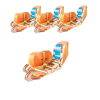 4x Profi Ratschen Spanngurt Spanngurte Zurrgurt 2-tlg 5m...