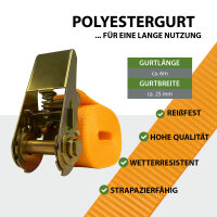 4 Stück Spanngurte mit Ratsche Zurrgurt 6m 1000kg 1-tlg zur Ladungssicherung