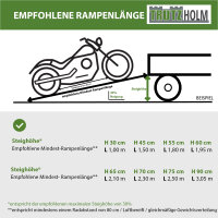 DREIBREIT by TRUTZHOLM Auffahrrampe 2-fach klappbar 175 cm 1020 kg Alu grau gelocht Verladerampe