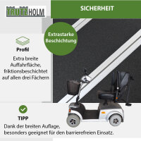DREIBREIT by TRUTZHOLM Auffahrrampe 215 cm 2-fach klappbar 1020 kg Alu beschichtet Verladerampe