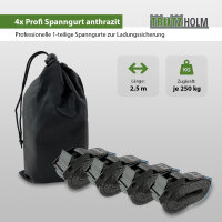 4x Profi Spanngurt mit Klemmschloss 1-tlg 2,5m 250 kg Traglast Anthrazit inkl. Tasche