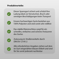 4x Profi Spanngurt mit Klemmschloss 1-tlg 2,5m 250 kg Traglast Anthrazit inkl. Tasche