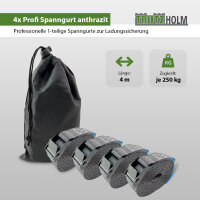 4x Profi Spanngurt Gurt Zurrgurt Klemmschloss Auto 1-tlg 4m 250 kg Anthrazit