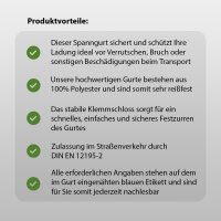4x Profi Spanngurt Gurt Zurrgurt Klemmschloss Auto 1-tlg 4m 250 kg Anthrazit