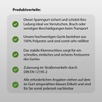 4x Profi Spanngurt Gurt Zurrgurt Klemmschloss 1-tlg 5m 250 kg Anthrazit inkl. Tasche