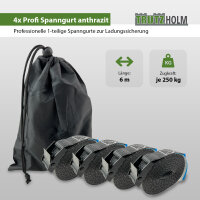 4x Profi Spanngurt Gurt Zurrgurt Klemmschloss Auto 1-tlg 6m 250 kg Anthrazit inkl. Tasche