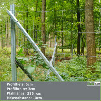 Z-Profil Zaunpfosten 215 cm verzinkt 20x Zaunpfähle inkl. Haken Forstprofil
