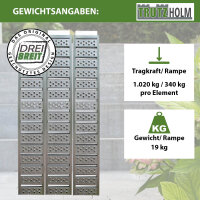 DREIBREIT by TRUTZHOLM 2-fach Auffahrrampe klappbar 215cm Tragkraft 1020kg Alu Verladerampe gelocht
