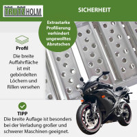 DREIBREIT by TRUTZHOLM 2-fach Auffahrrampe klappbar 215cm Tragkraft 1020kg Alu Verladerampe gelocht