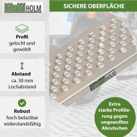 TRUTZHOLM 1x Auffahrrampe Alu 200 x 22 cm 200 kg gelocht gewölbt rutschhemmedn starr leichte Rampe