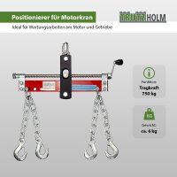 Balancierer Positionierer für Motorkran Kran Werkstattkran Hebekran 750 kg