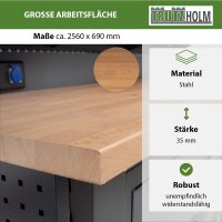 Werkstattwand Profiline XXL modular 250 cm robust Stahl LED Steckdosen Werkstattschranksystem Werkbank