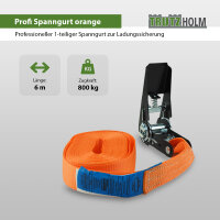 10x Spanngurt mit Ratsche 6m einteilig 800kg 0,8t orange